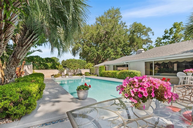 2110 Reaney Rd, Lakeland, FL 33803 - outdoor pool featuring a fenced backyard and a patio
