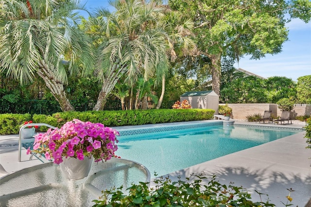 2110 Reaney Rd, Lakeland, FL 33803 - view of swimming pool featuring a storage unit and a patio