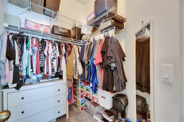 11728 Crest Creek Dr, Riverview, FL 33569 - spacious closet featuring carpet floors