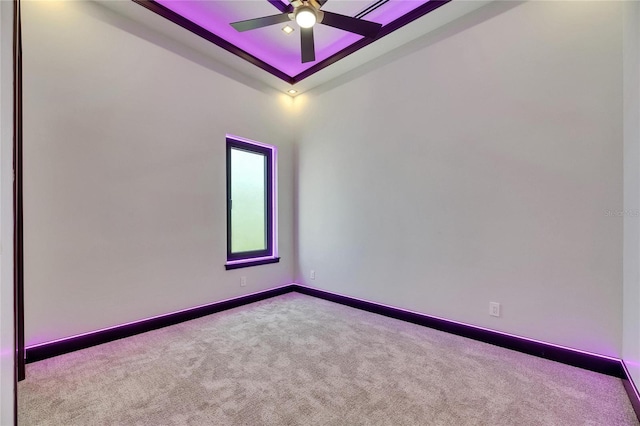 6532 Simone Shores Cir, Apollo Beach, FL 33572 - spare room with ceiling fan, carpet, baseboards, and a tray ceiling