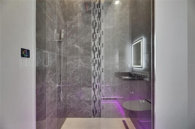 6532 Simone Shores Cir, Apollo Beach, FL 33572 - full bath featuring a shower stall and a sink