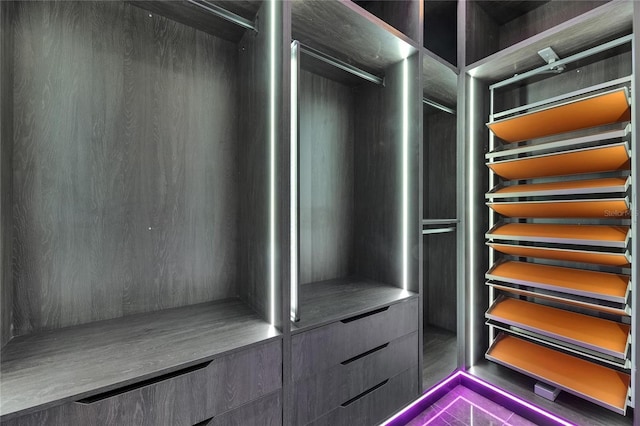 6532 Simone Shores Cir, Apollo Beach, FL 33572 - view of spacious closet