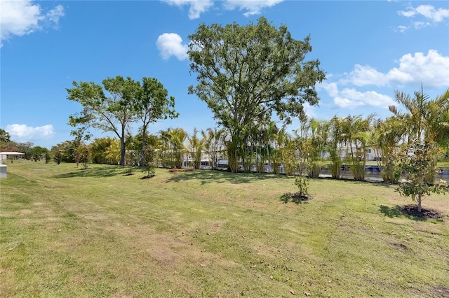 6532 Simone Shores Cir, Apollo Beach, FL 33572 - view of grassy yard
