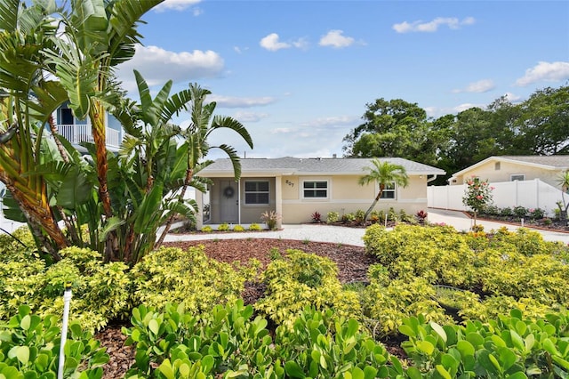 807 Illinois Ave, Palm Harbor, FL 34683 - photo 2
