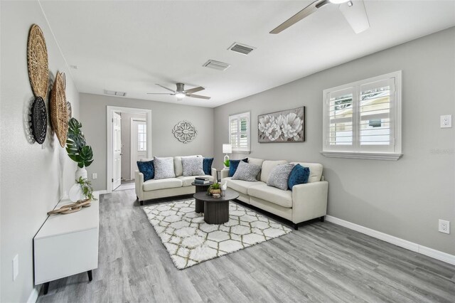 807 Illinois Ave, Palm Harbor, FL 34683 - photo 6