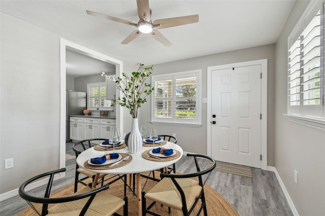 807 Illinois Ave, Palm Harbor, FL 34683 - photo 16