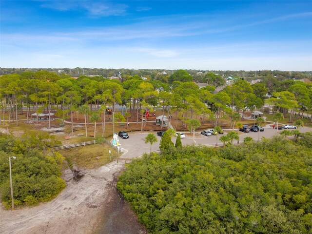 807 Illinois Ave, Palm Harbor, FL 34683 - photo 21