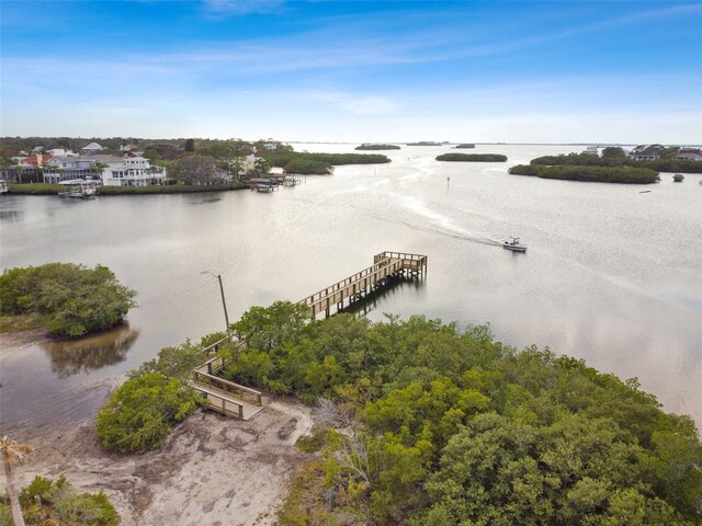 807 Illinois Ave, Palm Harbor, FL 34683 - photo 22