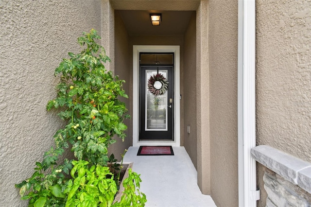32825 Sand Creek Dr, Wesley Chapel, FL 33543 - doorway to property with stucco siding
