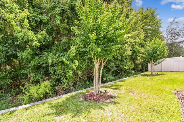 32825 Sand Creek Dr, Wesley Chapel, FL 33543 - view of yard