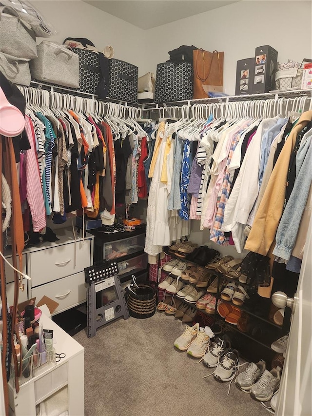 16725 Delia St, Wimauma, FL 33598 - spacious closet featuring carpet floors