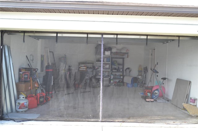 16725 Delia St, Wimauma, FL 33598 - view of garage