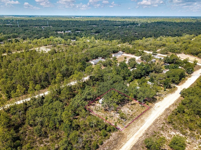NE 65th St, Williston, FL 32696
