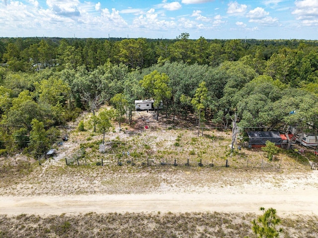 NE 65th St, Williston, FL 32696