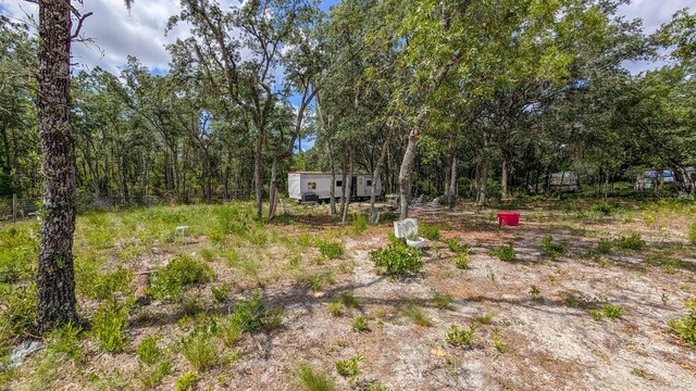 NE 65th St, Williston, FL 32696