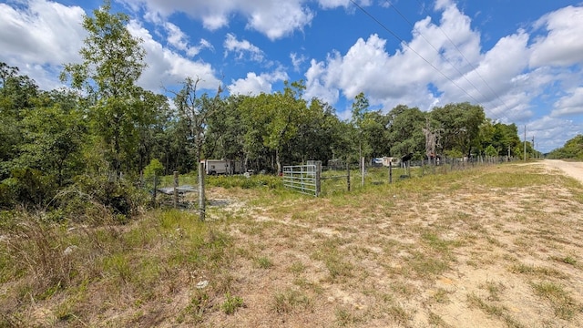 NE 65th St, Williston, FL 32696