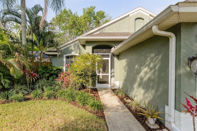 5619 Essex Ct, Palm Harbor, FL 34685 - doorway to property featuring stucco siding