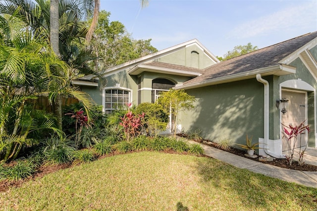 5619 Essex Ct, Palm Harbor, FL 34685 - view of side of home featuring a yard, stucco siding, and roof with shingles