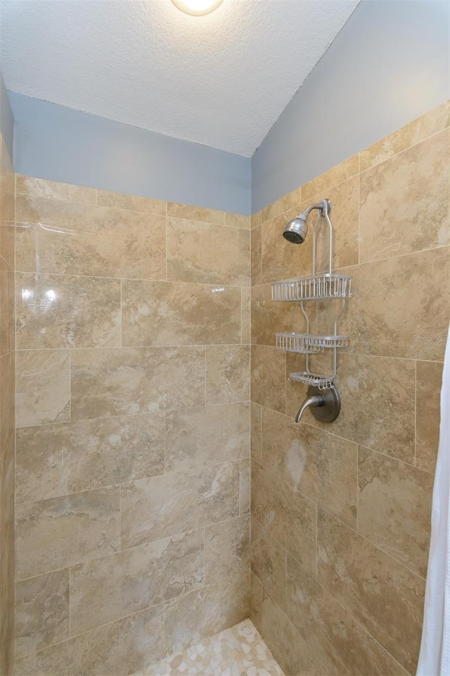 5619 Essex Ct, Palm Harbor, FL 34685 - full bath featuring a tile shower and vaulted ceiling