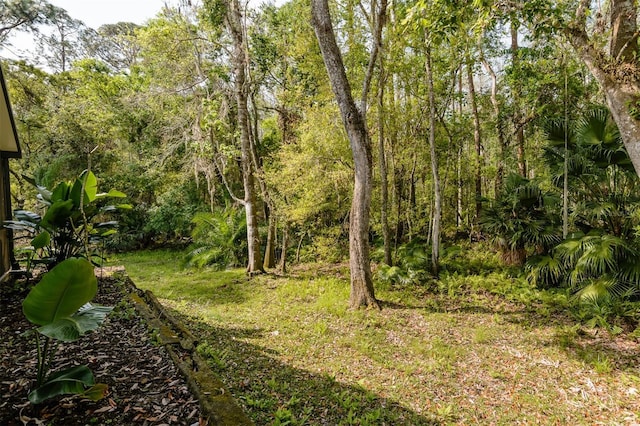 5619 Essex Ct, Palm Harbor, FL 34685 - view of yard