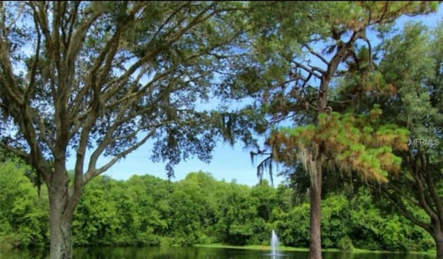 5619 Essex Ct, Palm Harbor, FL 34685 - water view with a forest