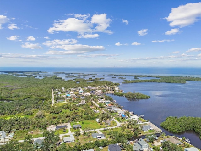 1110 Canal St, Ruskin, FL 33570 - view of property location with a nearby body of water and nearby suburban area