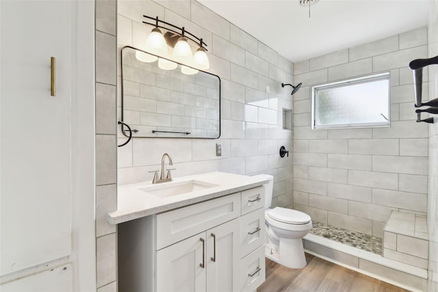 1110 Canal St, Ruskin, FL 33570 - full bath featuring a tile shower, vanity, toilet, tile walls, and wood finished floors