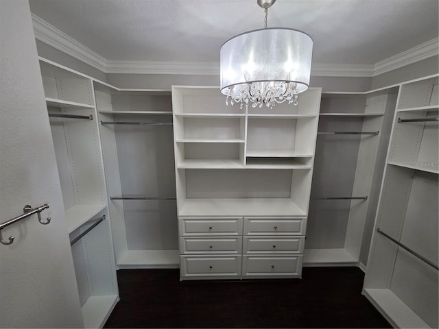 1521 Sourwood Dr, Ocoee, FL 34761 - spacious closet with a chandelier