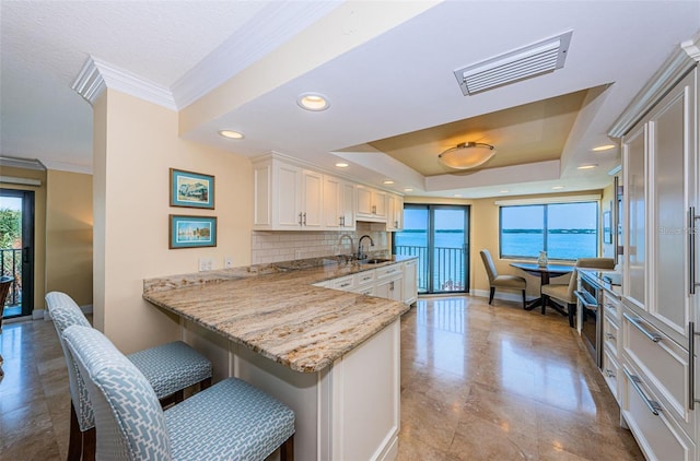 240 Sand Key Estates Dr Unit 222, Clearwater, FL 33767 - kitchen featuring a sink, crown molding, plenty of natural light, tasteful backsplash, and light stone counters