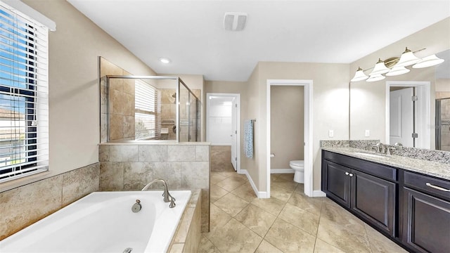 13903 Sage Thrasher Ln, Riverview, FL 33579 - full bathroom featuring a garden tub, vanity, plenty of natural light, and a stall shower