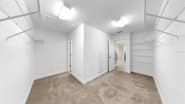 13903 Sage Thrasher Ln, Riverview, FL 33579 - spacious closet featuring attic access and carpet