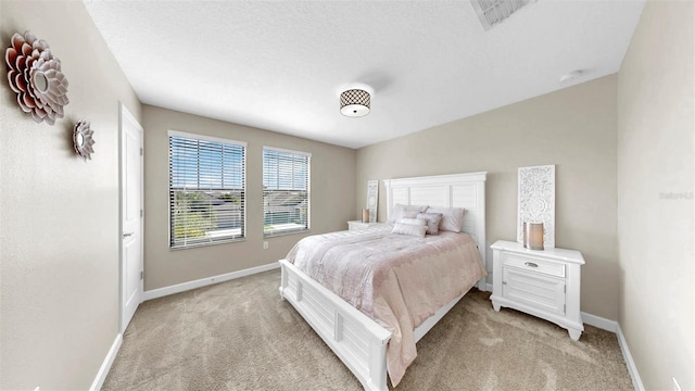 13903 Sage Thrasher Ln, Riverview, FL 33579 - bedroom with light carpet