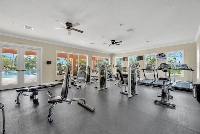 13903 Sage Thrasher Ln, Riverview, FL 33579 - workout area with a ceiling fan, french doors, plenty of natural light, ornamental molding, and a textured ceiling