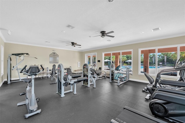 13903 Sage Thrasher Ln, Riverview, FL 33579 - gym featuring a ceiling fan and ornamental molding