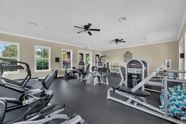 13903 Sage Thrasher Ln, Riverview, FL 33579 - gym with ceiling fan and ornamental molding