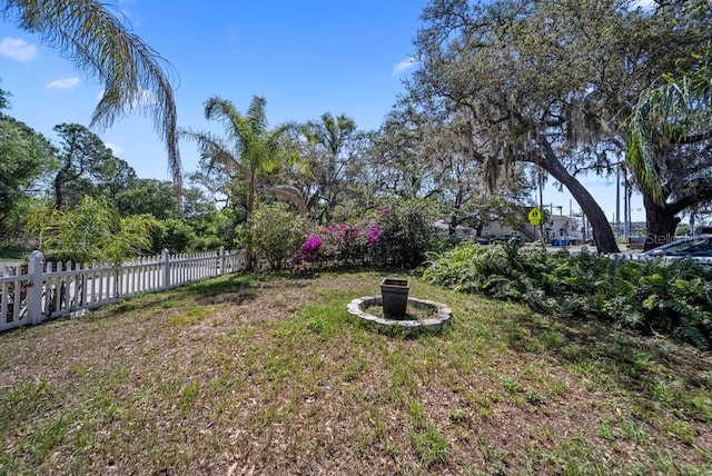 12304 Woodleigh Ave, Tampa, FL 33612 - view of yard
