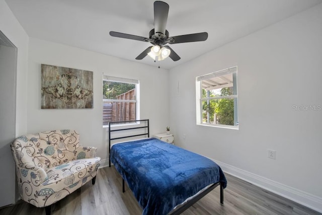 12304 Woodleigh Ave, Tampa, FL 33612 - bedroom with multiple windows, baseboards, wood finished floors, and ceiling fan