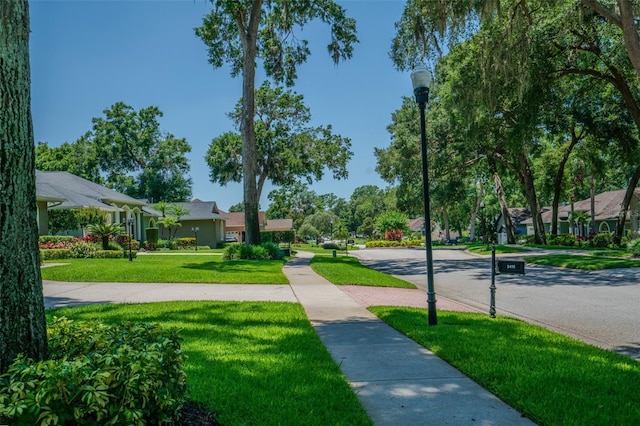 2417 Valrico Forest Dr, Valrico, FL 33594 - photo 28
