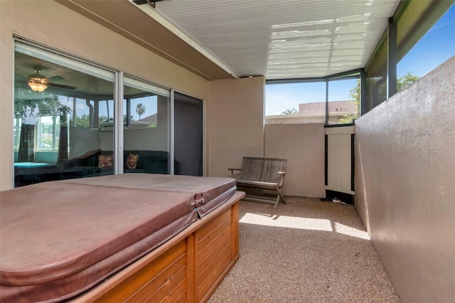 2444 Laurelwood Dr Unit A, Clearwater, FL 33763 - sunroom / solarium with a hot tub, healthy amount of natural light, and a ceiling fan