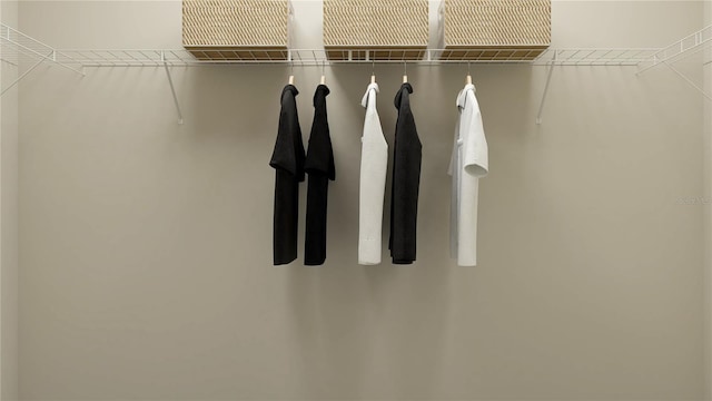 11083 E 65th Ter, Palmetto, FL 34221 - view of spacious closet