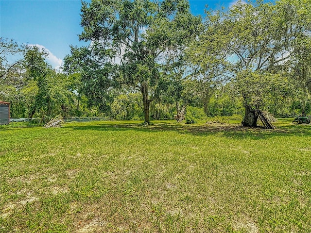 11912 Mcmullen Loop, Riverview, FL 33569 - view of green lawn