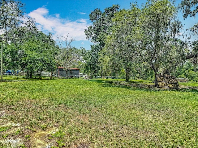 11912 Mcmullen Loop, Riverview, FL 33569 - view of yard