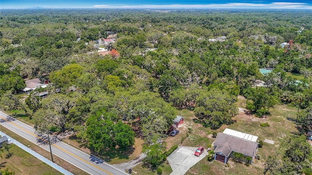11912 Mcmullen Loop, Riverview, FL 33569 - drone / aerial view of a heavily wooded area
