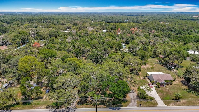 11912 Mcmullen Loop, Riverview, FL 33569 - bird's eye view of a heavily wooded area