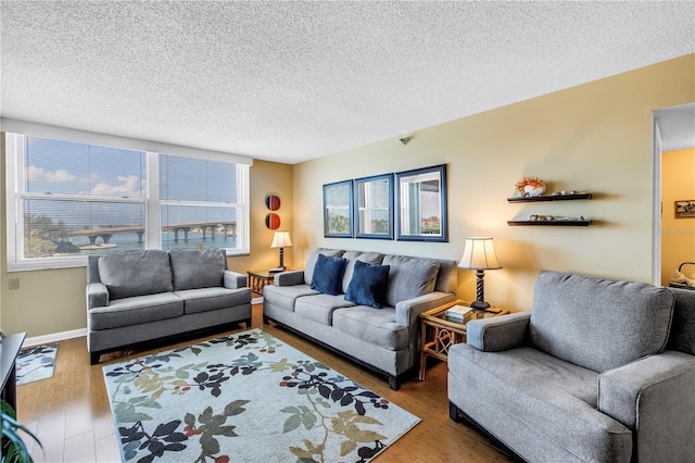 6265 Sun Blvd Unit 605, Saint Petersburg, FL 33715 - living room featuring wood finished floors, a textured ceiling, and baseboards