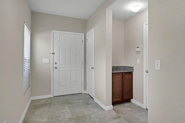 16016 Persimmon Grove Dr, Lithia, FL 33547 - entrance foyer featuring baseboards
