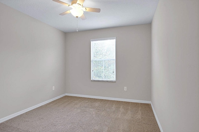 16016 Persimmon Grove Dr, Lithia, FL 33547 - spare room with carpet flooring, ceiling fan, baseboards, and a textured ceiling