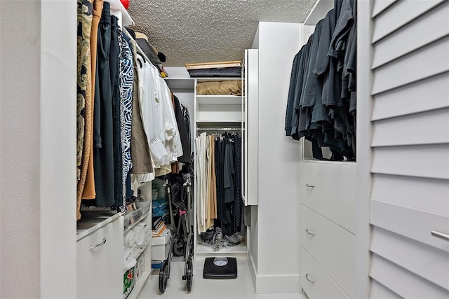 7520 Sunshine Skyway Ln S Unit 109, Saint Petersburg, FL 33711 - view of spacious closet