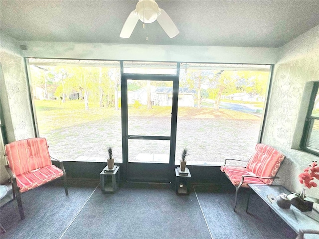 13100 Serpentine Dr, Hudson, FL 34667 - sunroom / solarium with a ceiling fan and plenty of natural light