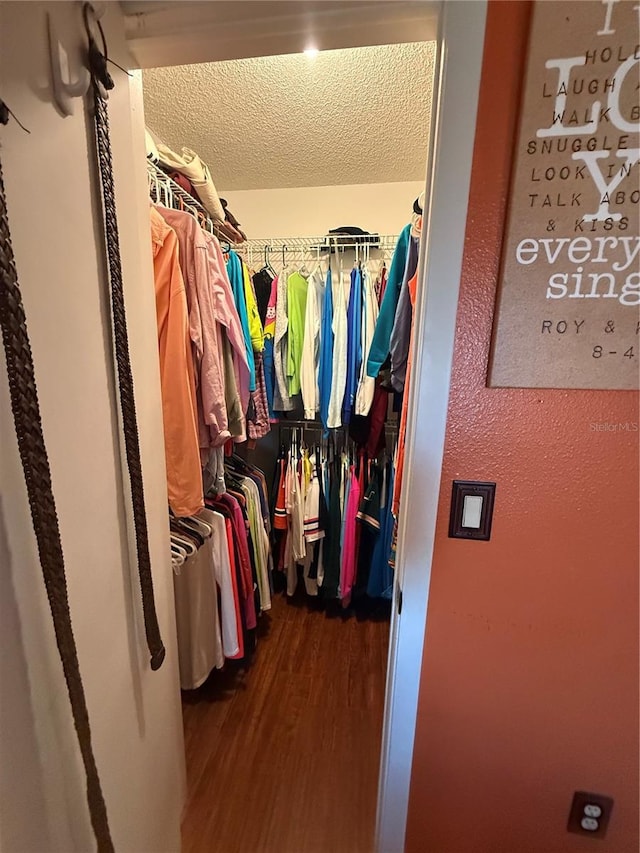 3338 Fernleaf Dr, Hernando Beach, FL 34607 - spacious closet featuring wood finished floors